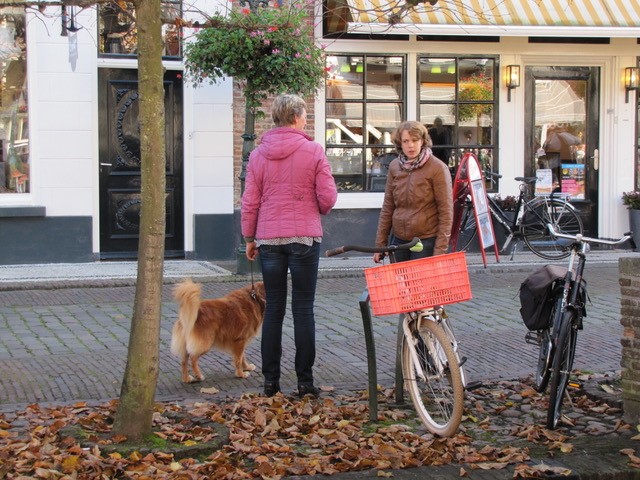 Cursus gehoorzame huishond