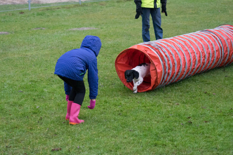 Puppycursus