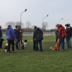 Gevorderden